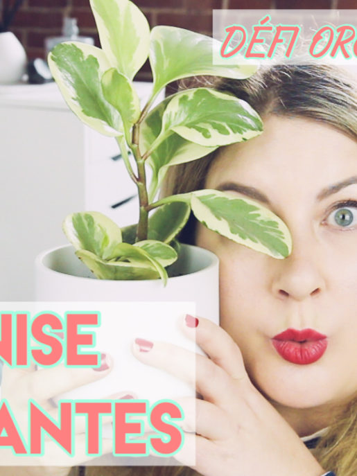 Comment faire le ménage de ses plantes - Défi organise ta vie
