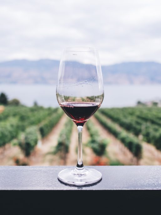 France dans les vignes - vin rouge