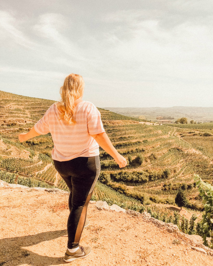 Luxe tranquille chez les Chapoutier - France dans les vignes jour 5
