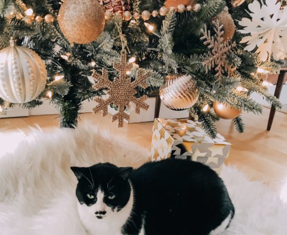 Comment empêcher un chat de détruire le sapin de Noël - chat tuxedo sous un arbre
