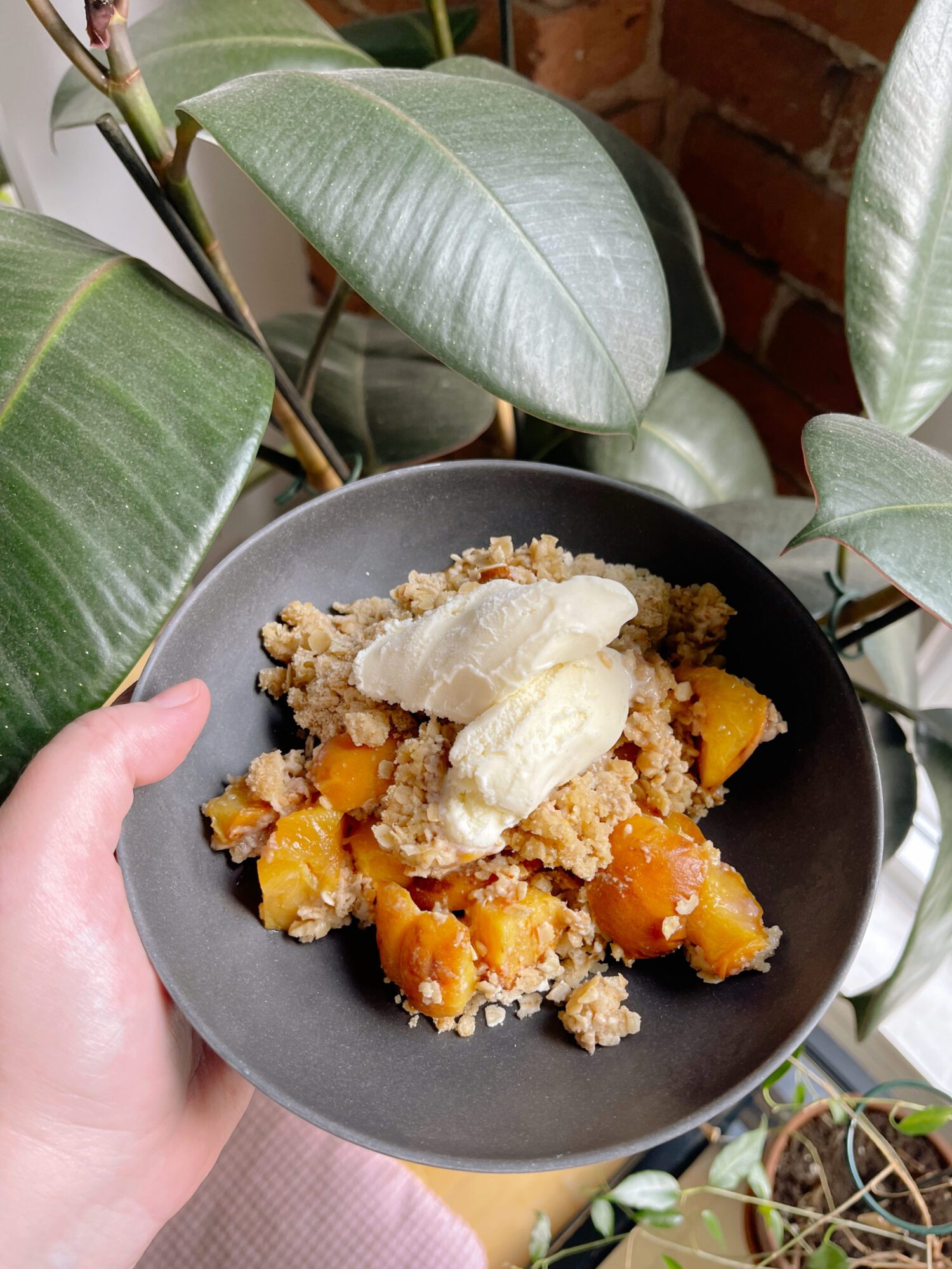 la meilleure croustade aux pêches