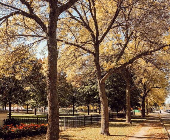 parc Ovila Pelletier