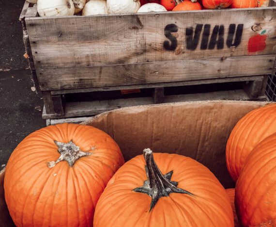 citrouille à sculpter - activités d'automne