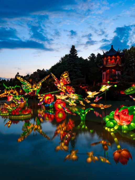 Jardins de lumière au jardin botanique de Montréal